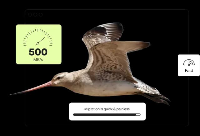 Start Your Free Migration