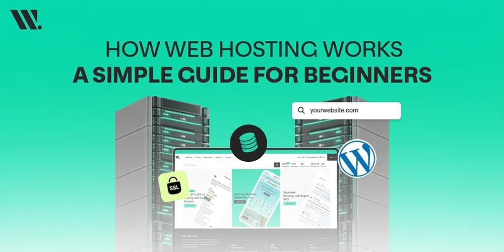 how-web-hosting-works.webp
