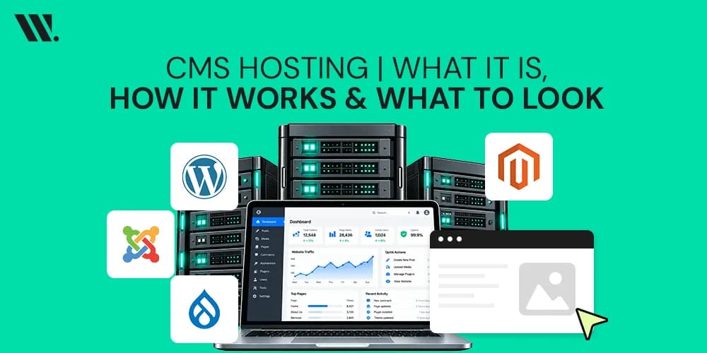 What is CMS Hosting and How Does It Work?