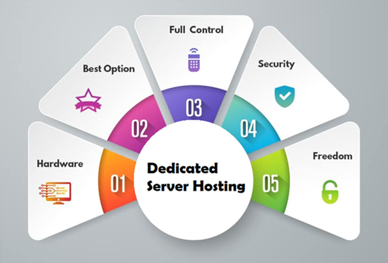 7 Reasons Why You Should Go for Dedicated Server Hosting